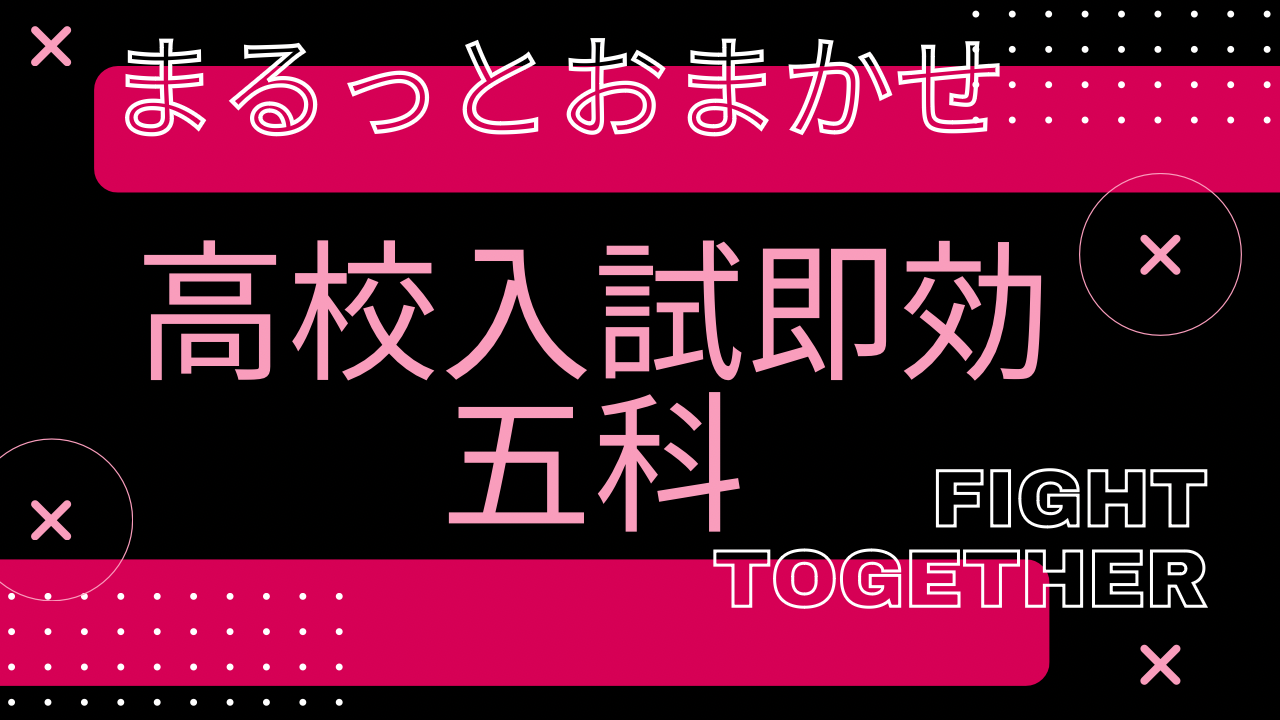 mate  メイト　ホームスタディ　教材　中学5教科 MATE 教科書メイト 英語 教材セット