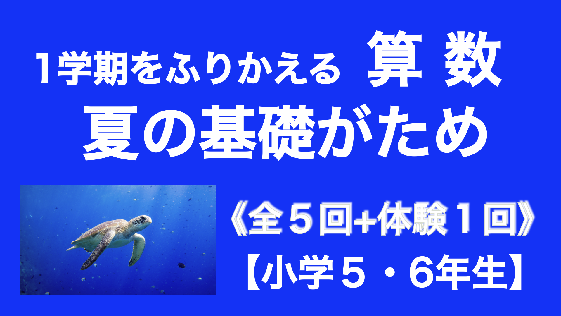 1学期を振り返る算数 夏の基礎がため🍉 | 算数 | オンライン家庭